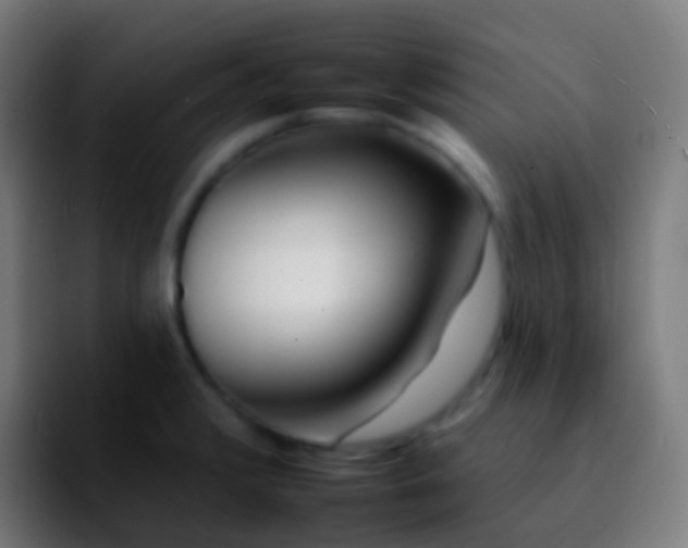 X0000092261376200709211111