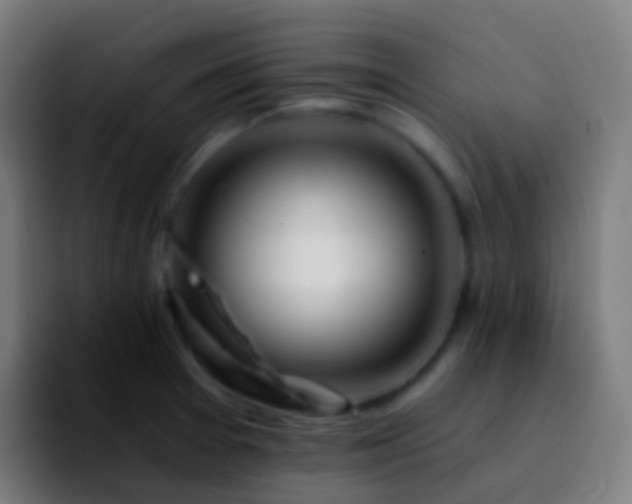 X0000092261377200709211111