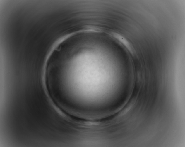 X0000092261379200709211111