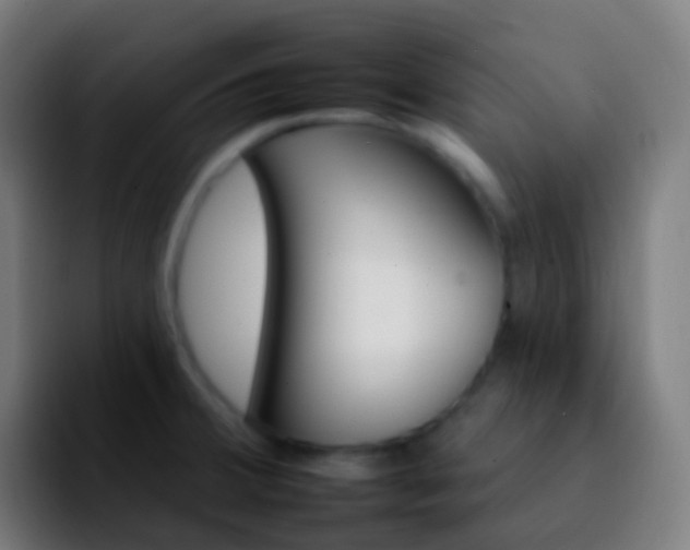 X0000092261380200709211111