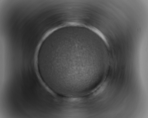 X0000092261381200709211111