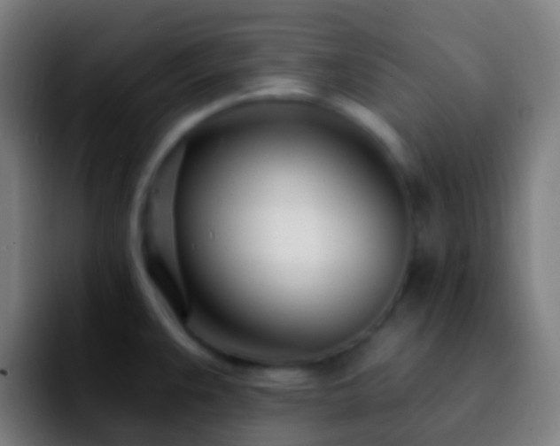 X0000092261383200709211111