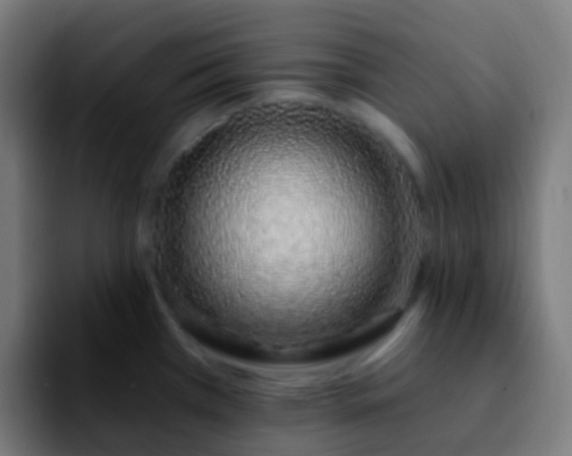 X0000092261385200709211111