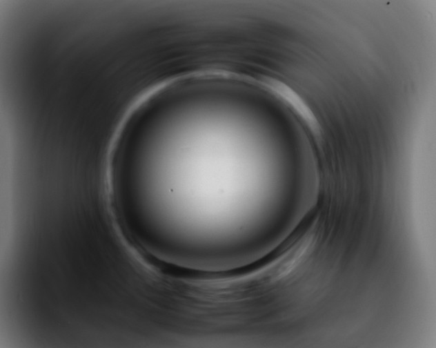 X0000092261388200709211111