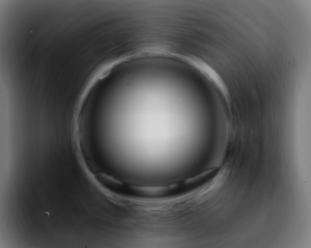 X0000092261389200709211111