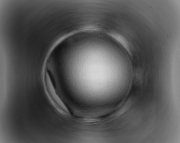 X0000092261391200709211111