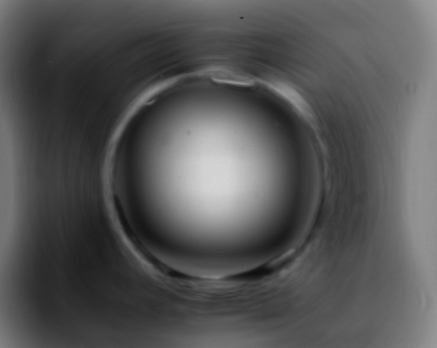 X0000092261392200709211111