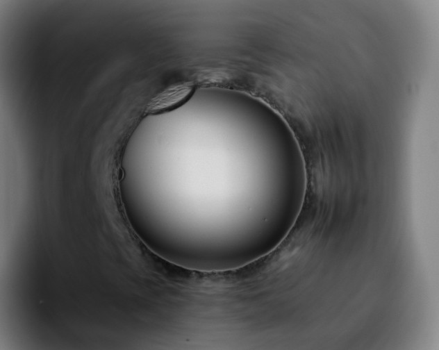 X0000092261393200709211111
