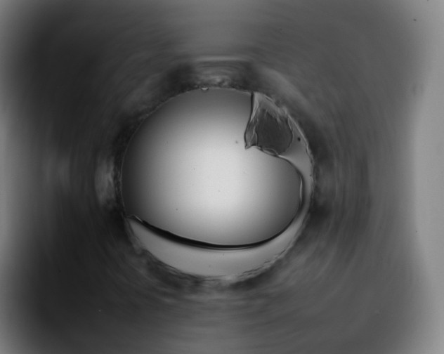 X0000092261394200709211111