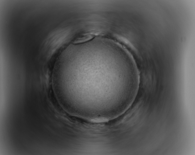 X0000092261399200709211111