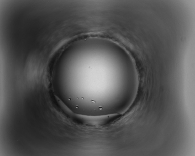 X0000092261400200709211111