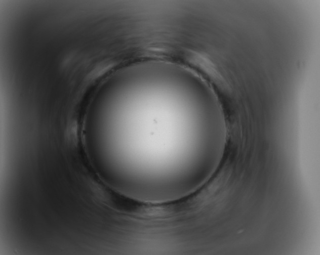 X0000092261402200709211111