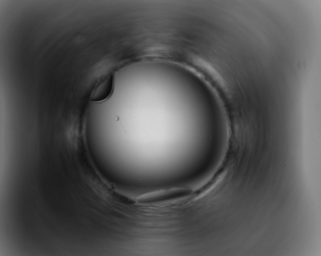 X0000092261403200709211111