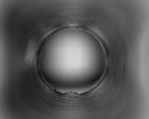 X0000092261404200709211111