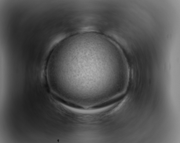 X0000092261405200709211111