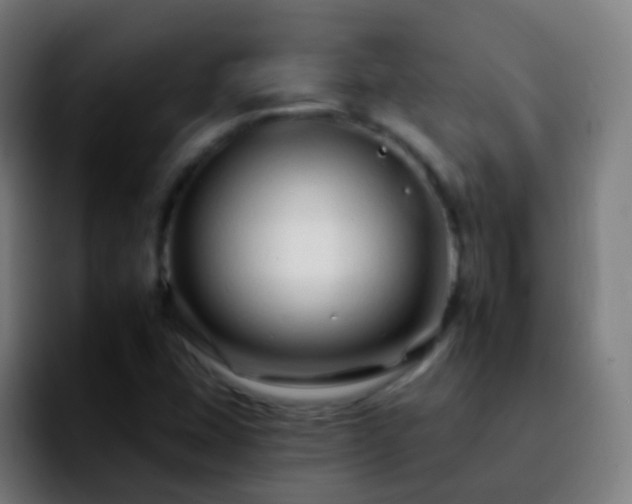 X0000092261407200709211111