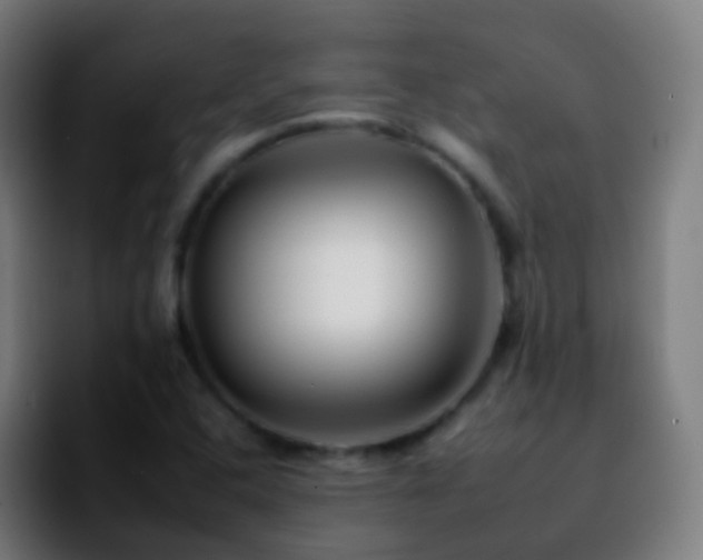 X0000092261408200709211111