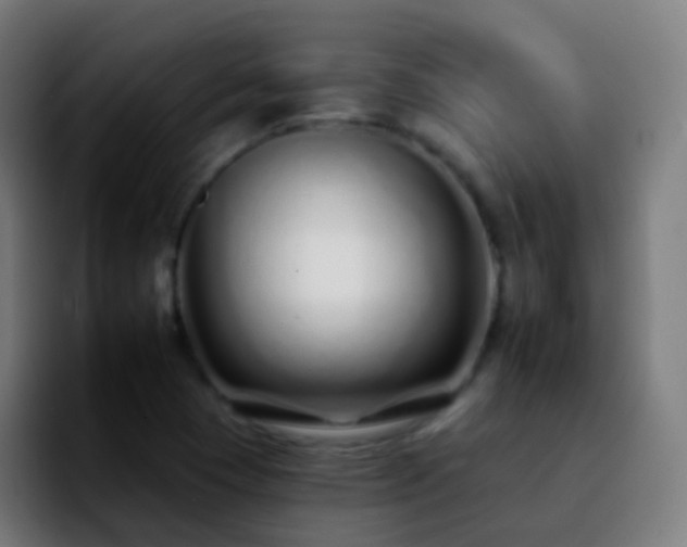 X0000092261409200709211111