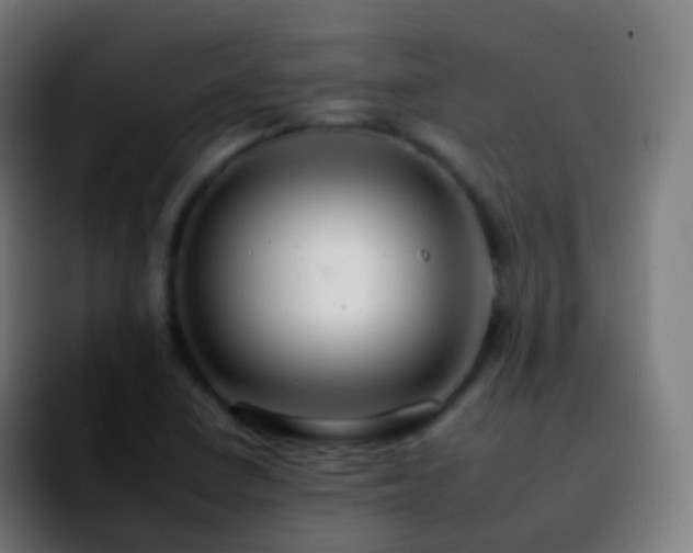 X0000092261410200709211111