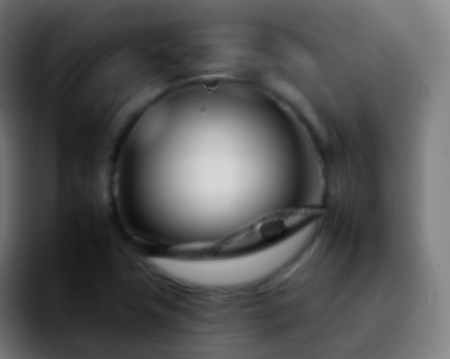 X0000092261411200709211111