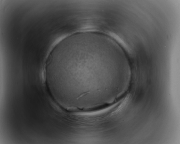 X0000092261413200709211111