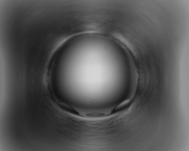 X0000092261415200709211111