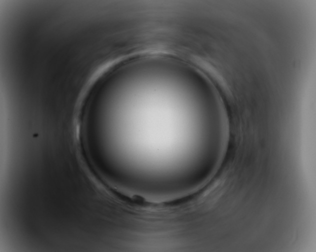 X0000092261416200709211111