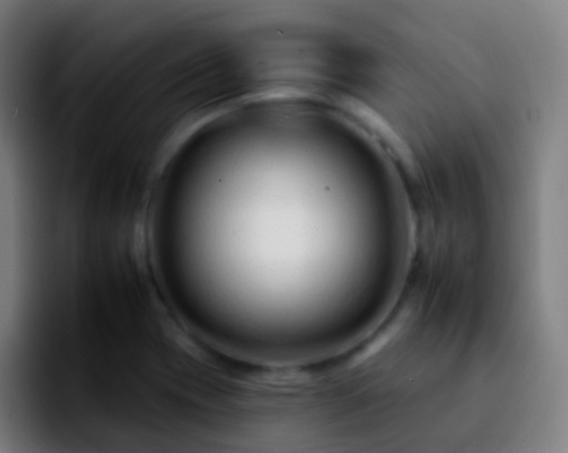 X0000092261417200709211111