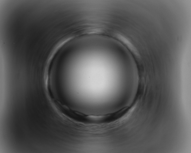 X0000092261418200709211111