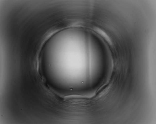 X0000092261419200709211111