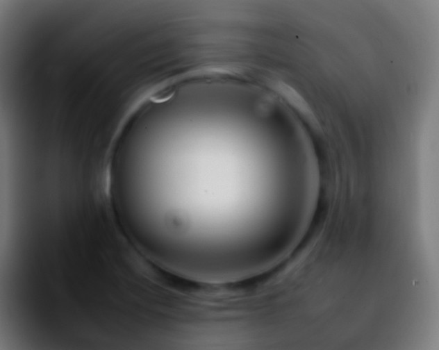 X0000092261420200709211111