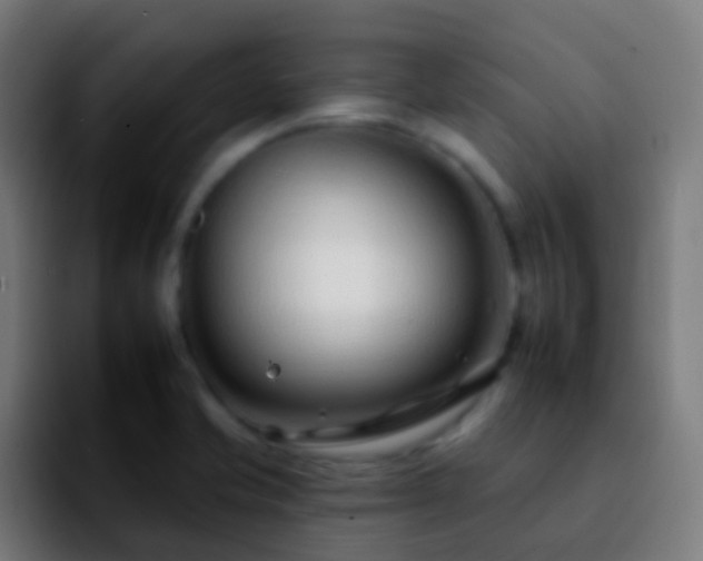 X0000092261421200709211111