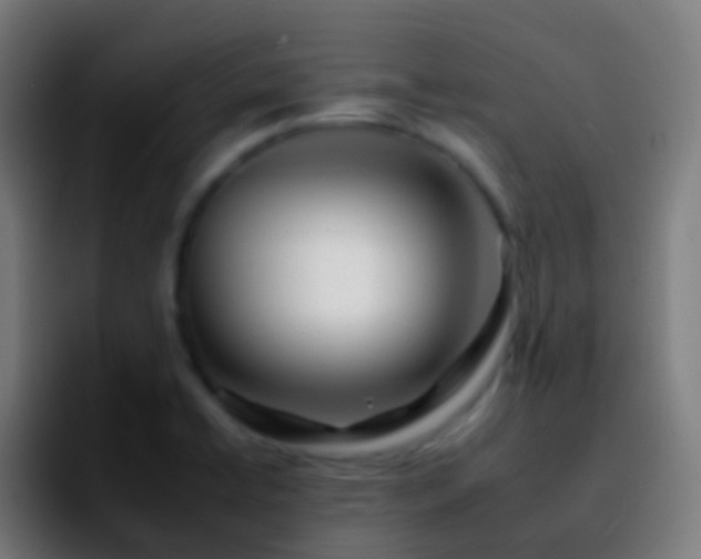 X0000092261422200709211111