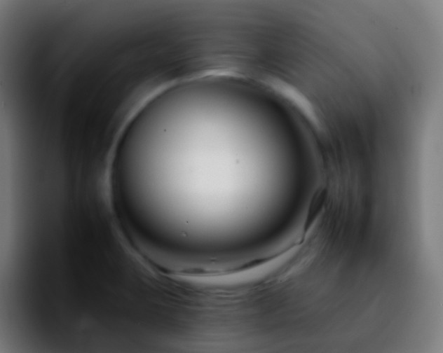 X0000092261423200709211111