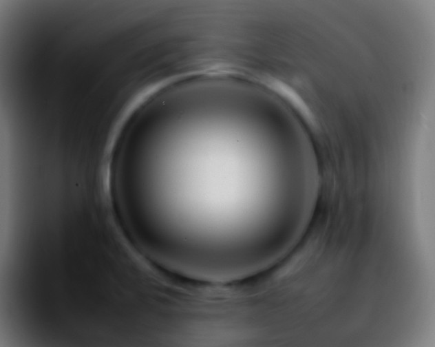 X0000092261424200709211111