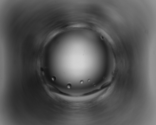 X0000092261425200709211111