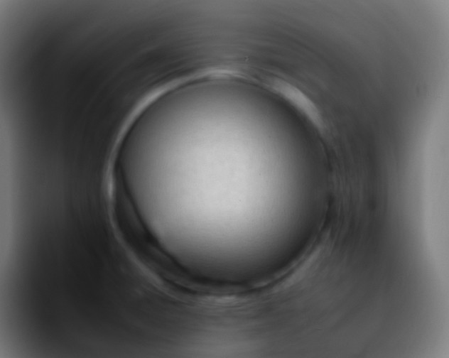 X0000092261428200709211111
