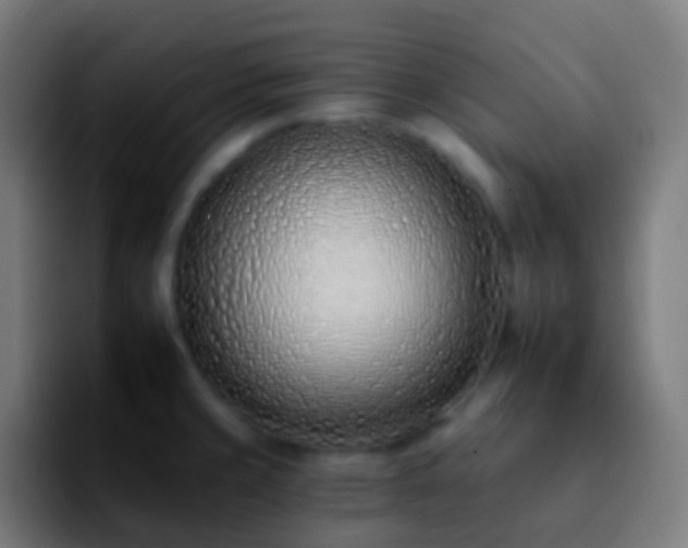 X0000092261429200709211111