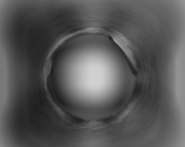 X0000092261430200709211111