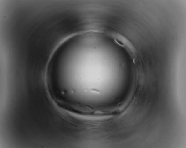 X0000092261431200709211111
