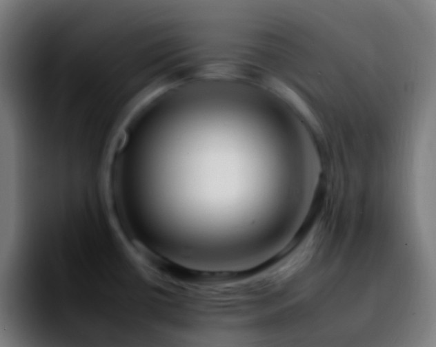 X0000092261434200709211111