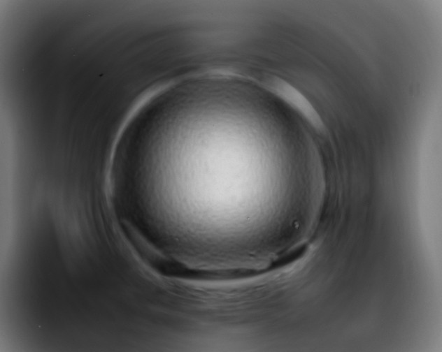 X0000092261436200709211111