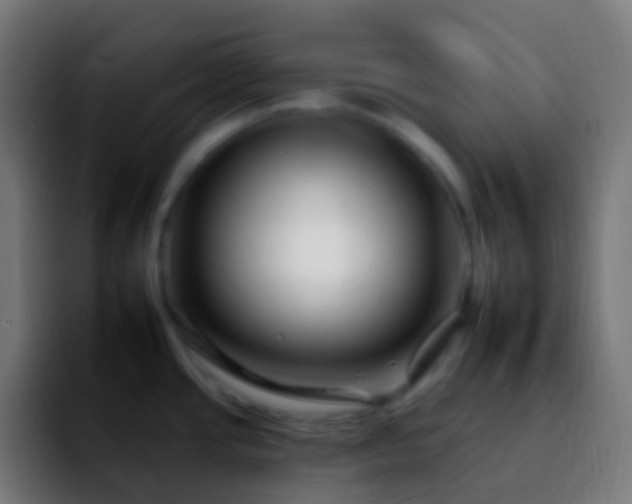 X0000092261437200709211111