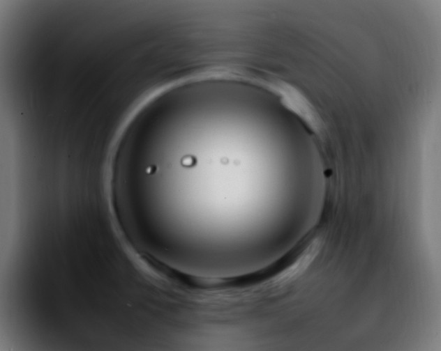 X0000092261438200709211111