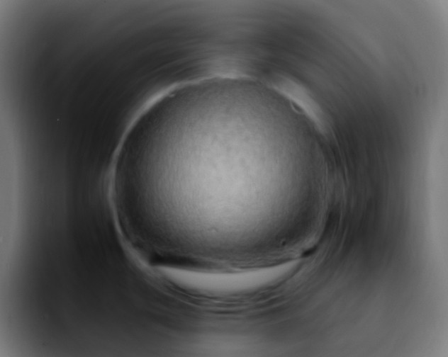 X0000092261439200709211111