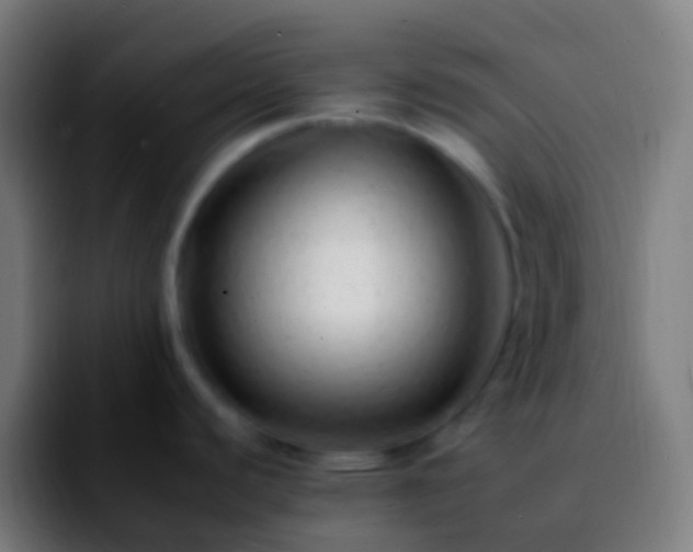 X0000092261440200709211111