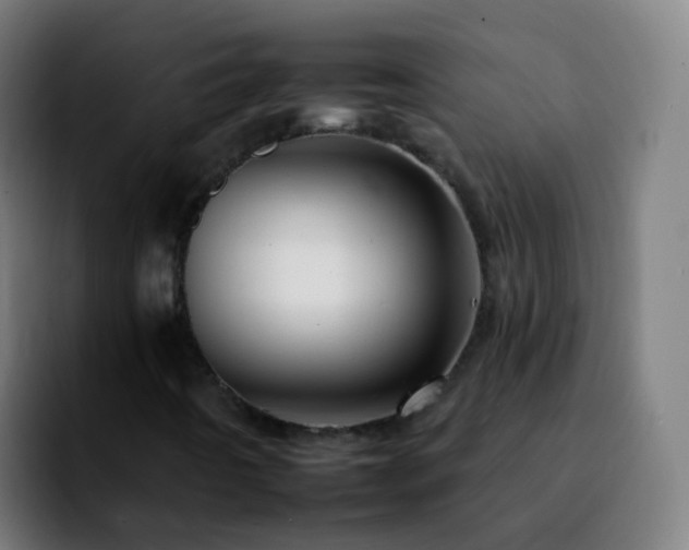 X0000092261442200709211111