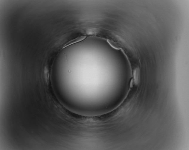 X0000092261443200709211111