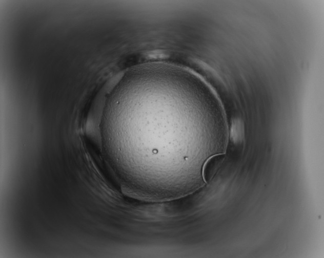 X0000092261444200709211111