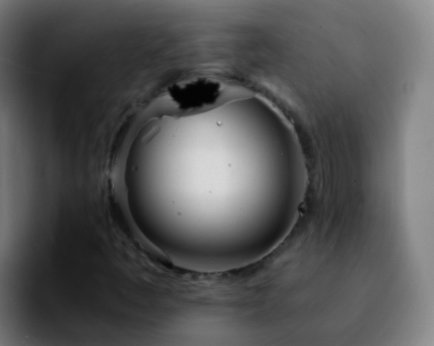 X0000092261445200709211111
